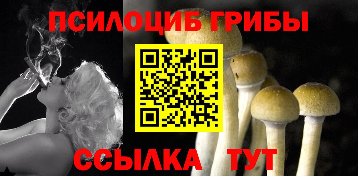 Псилоцибиновые грибы Psilocybine cubensis  Псилоцибиновые грибы Psilocybe  Вичуга  Вход с VPN 